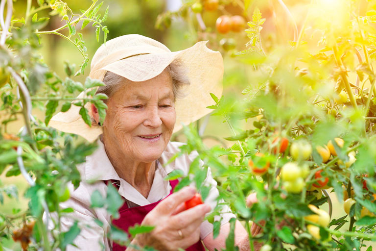 An older woman happily tending to her garden in the sunlight